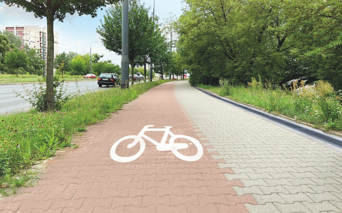 Street with road, pedestrian zone and red paved bicycle lane